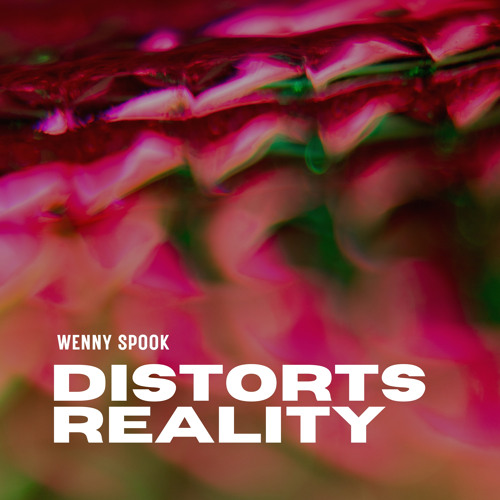 Through a Distorted Lens