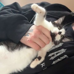 HO3 (official audio) - ft STZ