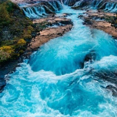 فيك يا يسوع فيك حرية - خدمة السماء على الأرض - مصر