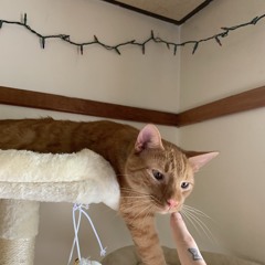 Puff The Magic dragon 2C %1Tfreestyle%