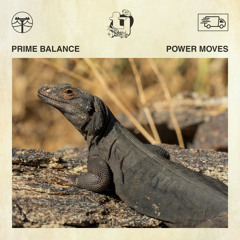 Prime Balance - Power Moves
