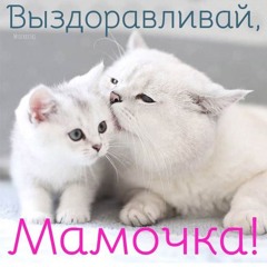 ПЛОХАЯ МАМА СЕРГЕЯ