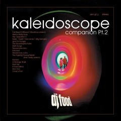 Kaleidoscope Companion Pt.2