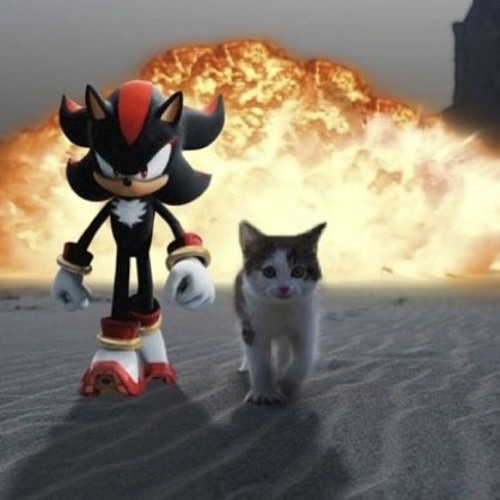 THE SONIC SHUFFLE-INATOR