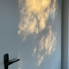 310724 leaf shadow