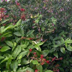 Luv Addict [prod me x plenty]