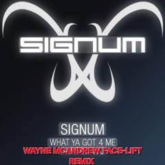 Signum-What Ya Got 4 Me (Wayne McAndrew Face-Lift Remix)