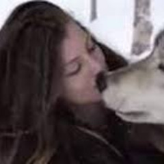 [ Link@ 18++ ] one girl one wolf viral video original
