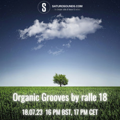 Organic Grooves by ralle 18, 18.07.23