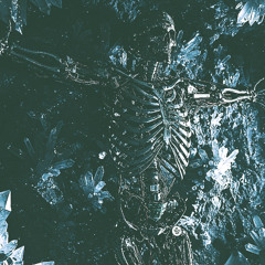 𝕹𝖎𝖚𝖗𝖎𝖔𝖘 - 𝕱𝖗𝖔𝖟𝖊𝖓 𝕲𝖆𝖟𝖊 ( ℜ𝔢𝔟𝔬𝔯𝔫 )