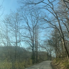 why in the fuck am i here (neverforever)