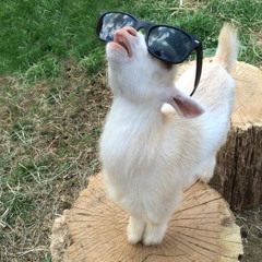 GOATY(feat. tonybami)