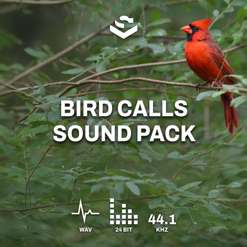 Bird Calls Sound Pack Example