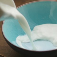 Wonk w/monxx sample pack