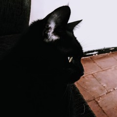 Nosta