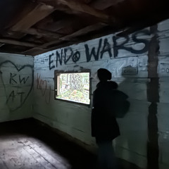 the end