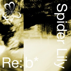 Sanctum Feat. Sakidasumi (Kogane Remix)