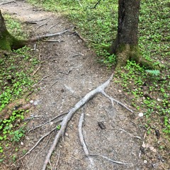 Buzzer Door (Instrumental)