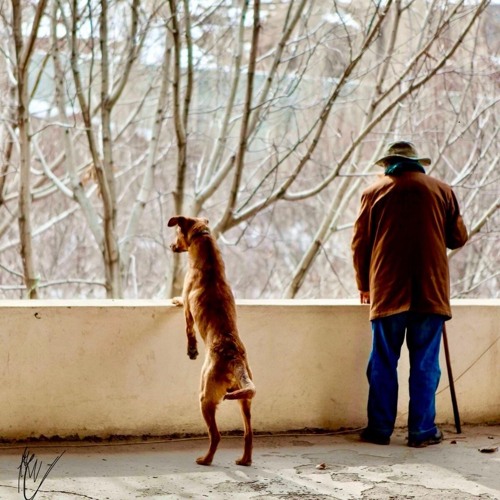 Acceptance (گُوالیدن-Growing Old)