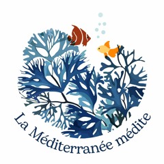 La Méditerranée Médite - Cédric Dosch