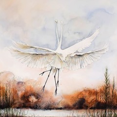 Dave.Silverfish - The Piscean - Vol 28 - 11 - 15 - 2020 🍁 🍁 🍁 🍁