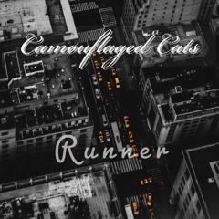 Camøuflaged Cats - Runner