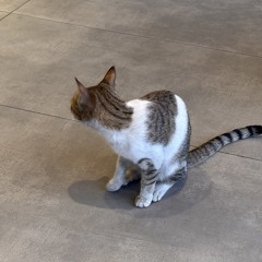 ‎⁨ اغاني مصري  اللي زيك انت  مسرع⁩.mp3