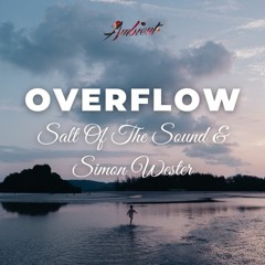 Salt Of The Sound & Simon Wester - Overflow (Instrumental)