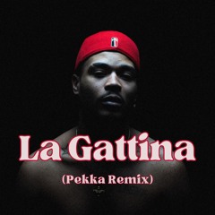 ARTIE 5IVE - LA GATTINA (PEKKA REMIX)