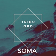 Tribu Oro - White Clouds (Original Mix) - SNIPPET