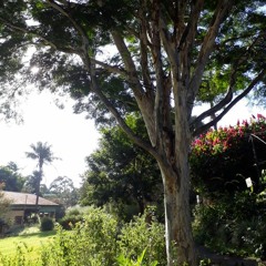 13.02.2022 - Cap. IX - Bem Aventurados os Mansos e Pacíficos - A Cólera (7)