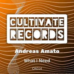 What I Need (Original)