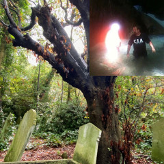 Hey! where's my sledge hammer?