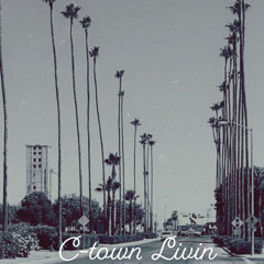 chivo ft travi-DowN Your Blockk
