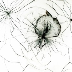Dissolved Mind