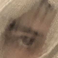 HalfDemonHalfAngel