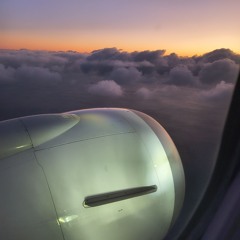 Mysterious happy place