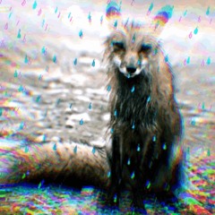 a fox made the thief a beat in the rain