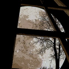Moonlight