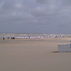 tender conversations