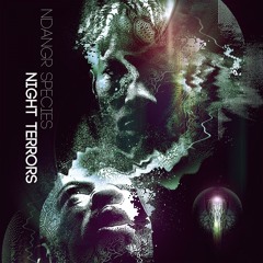 Anything (Original Mix)