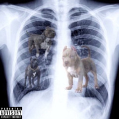 DOG IN ME