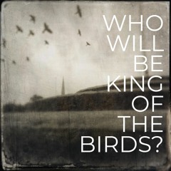 Who Will Be The King Of The Birds: A poem by Annie Kissack