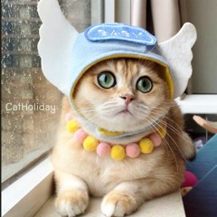 เจอแต่คนใจร้าย - LIPTA Feat. Ink Waruntorn (Cover by Bird)