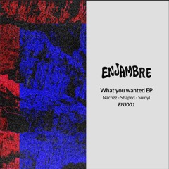 Suinyl - You Are The Crazy