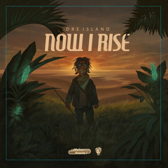 Days of Stone (feat. Chronixx)