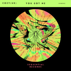 Cozy - You got me  Original Mix (Sequential Records)  promo clip