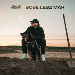 4TRESS-SOSE LESZ MÁR