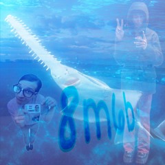 8m6b