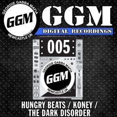 Hardcore / Speedcore / Terrorcore / Frenchcore / Crossbreed / Happy Hardcore / J-Core / UK Hardcore / Gabber / Early Hardcore / Hardtechno / Rave / Schranz / Breakcore - 5